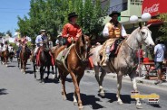 Desfile Caballos 014